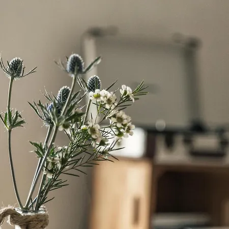 Bed and breakfast I Cinque Mori Baunei