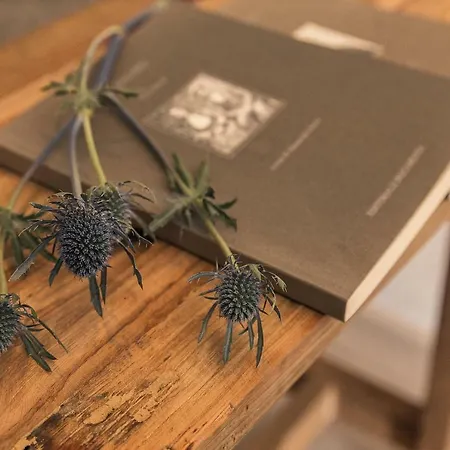 Alojamento de Acomodação e Pequeno-almoço I Cinque Mori 3*