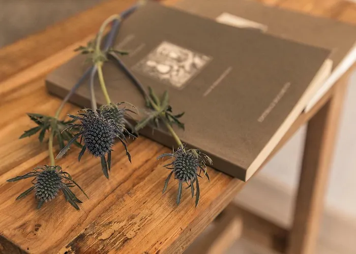 Bed & Breakfast I Cinque Mori 3*