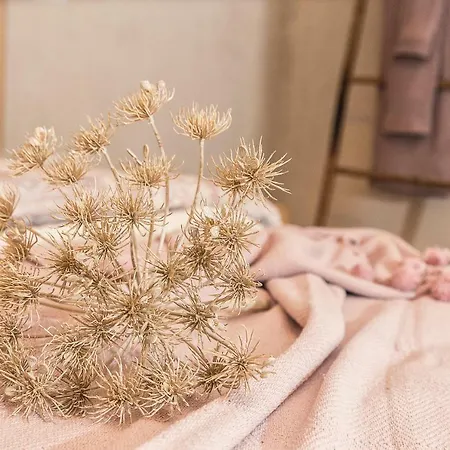 I Cinque Mori לינה וארוחת בוקר 3*