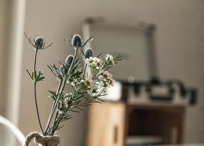 Bed & Breakfast I Cinque Mori Baunei