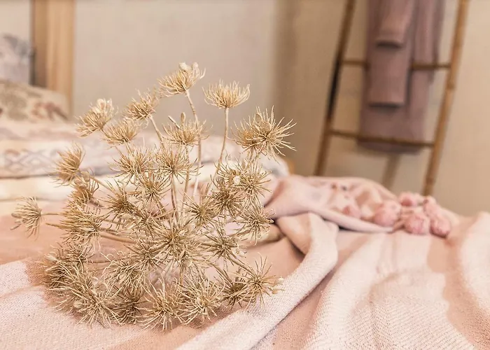 I Cinque Mori Bed & Breakfast 3*